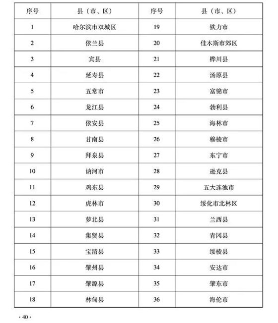 大力士 生物质燃烧器