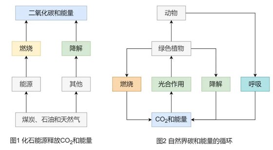 大力士生物质燃烧机