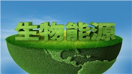 华电生物质能分公司：扬帆改革浪潮，提速绿色转型1