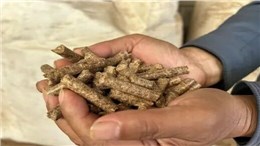 秸秆汽提水解碳化预处理装置设计与效果分析1