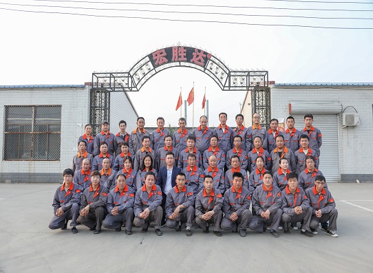 生物质燃烧机 生产厂家 河北宏胜达