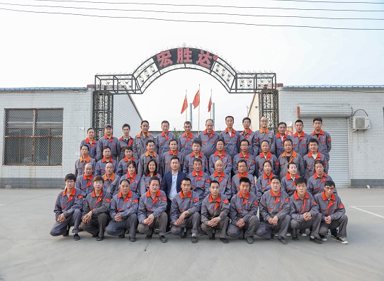 生物质燃烧机 生产厂家 河北宏胜达