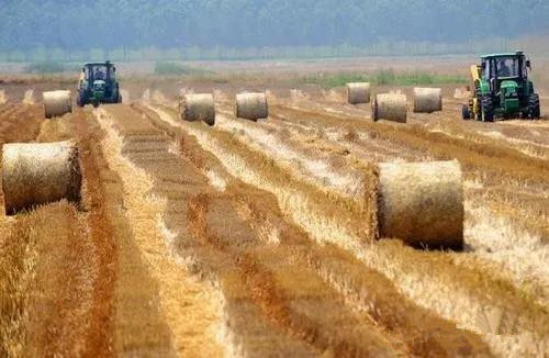山东省2020年农作物秸秆综合利用率达到92%以上