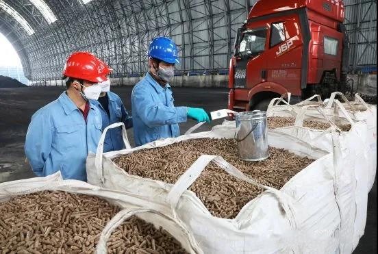 上海石化首尝生物质燃料掺烧