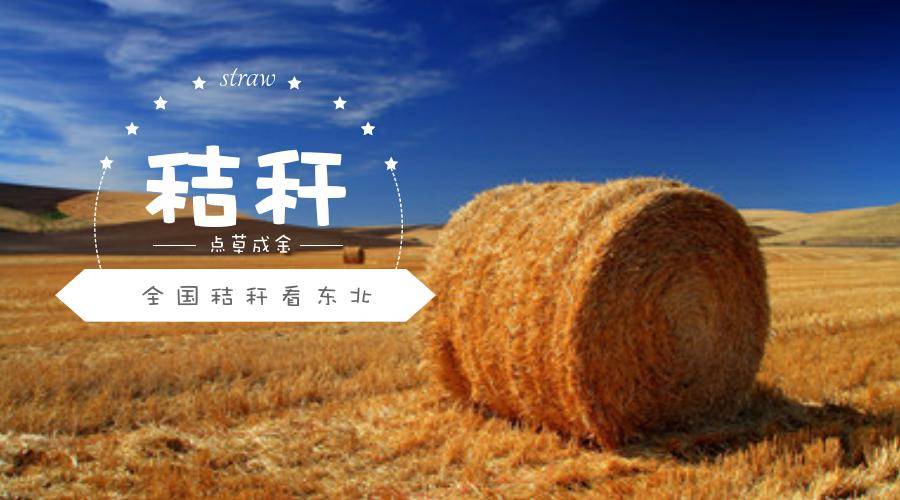 新闻联播关注：东北秸秆该咋办？（一）