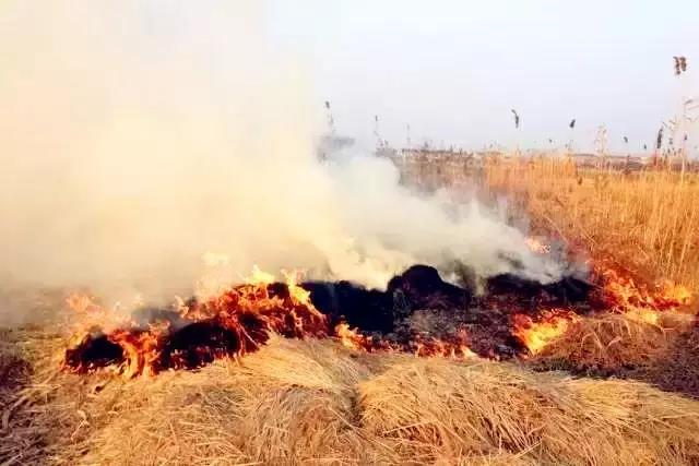 太原重拳整治露天秸秆焚烧行为