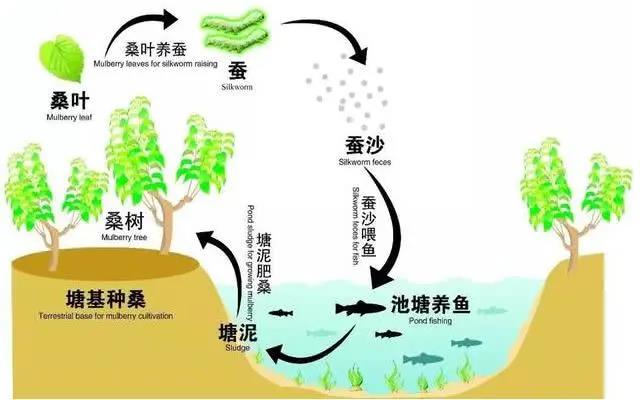 “生态循环农业”经典模式（二）