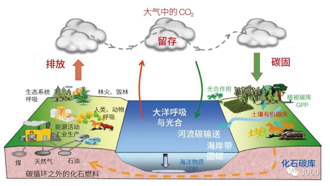 涨知识！什么是低碳、零碳、负碳技术（二）