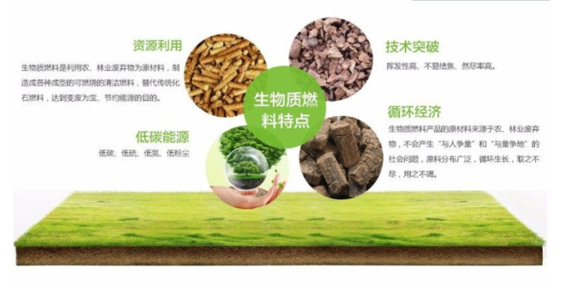 为何说“生物质能”，是人类未来发展的重要能源？（三）