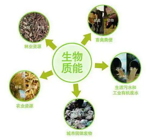 大力士生物质燃烧机