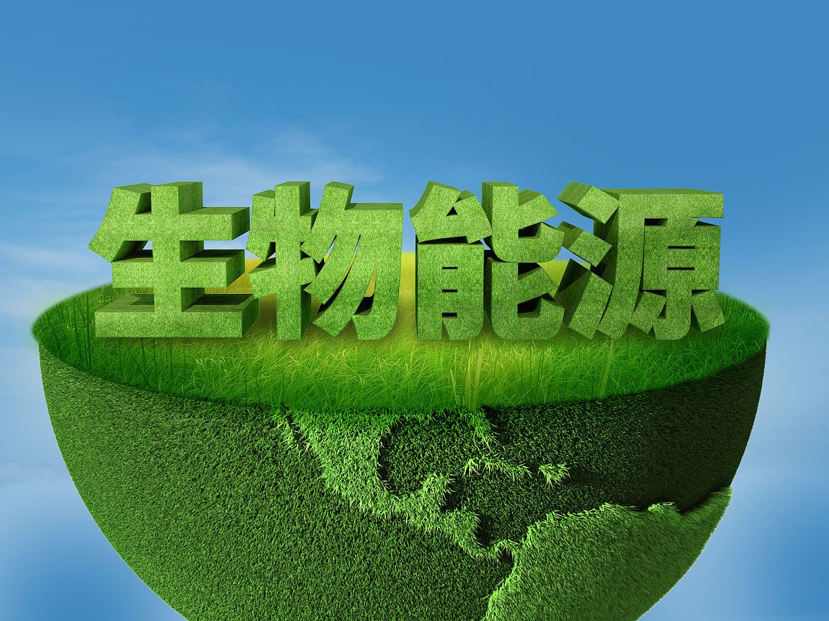 华电生物质能分公司：扬帆改革浪潮，提速绿色转型1